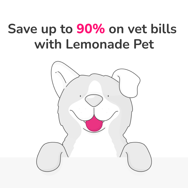 illustration of a smiling dog