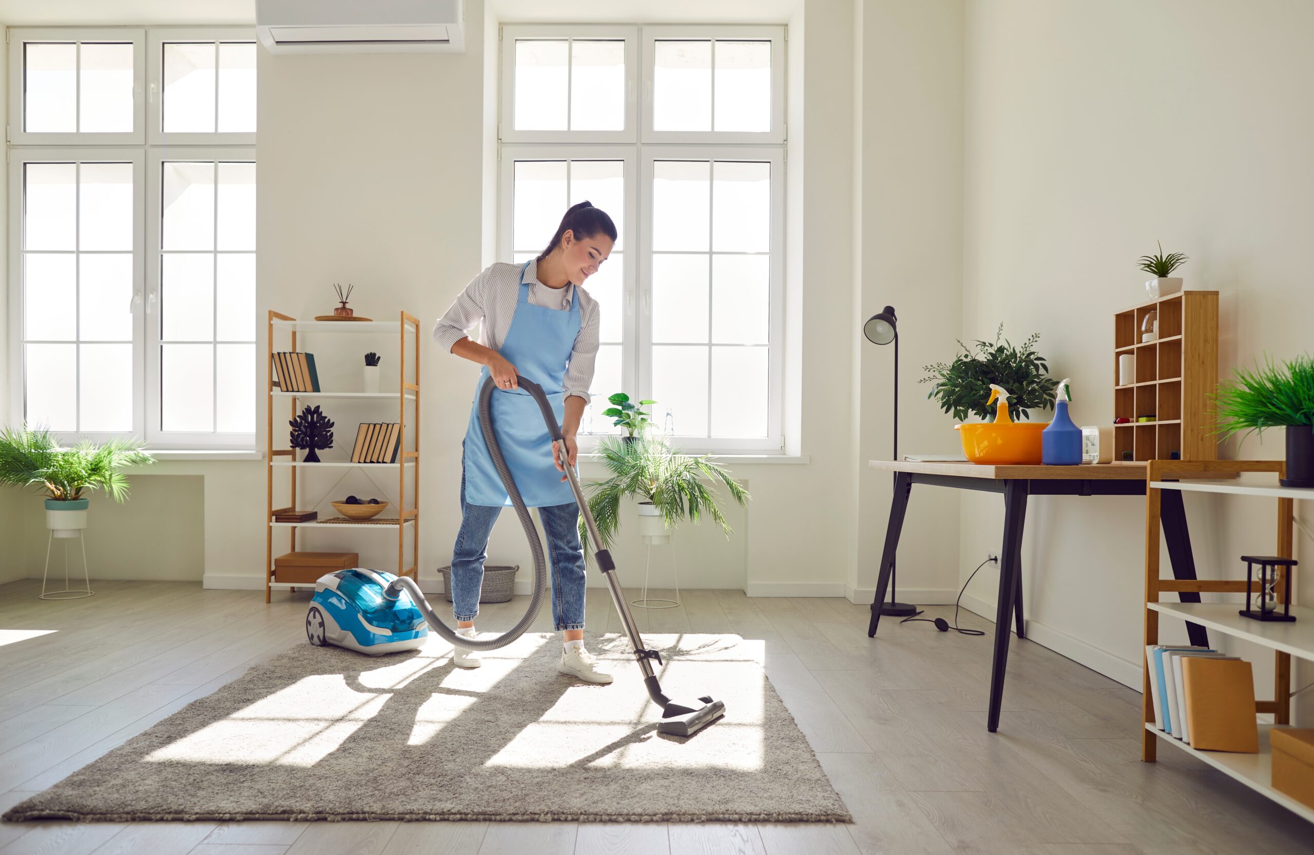 House Cleaning
