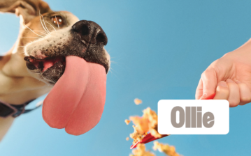 Ollie Pets