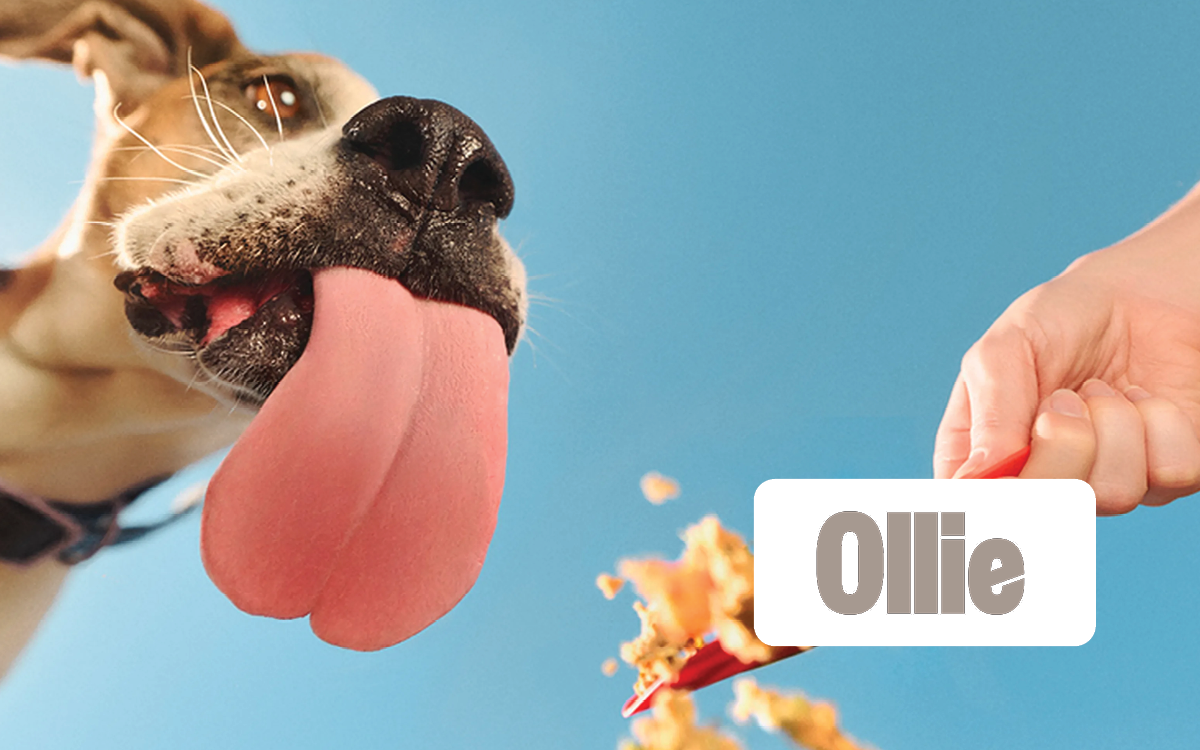 Ollie Pets